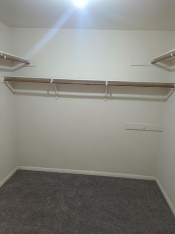 305 Avalanche Ave, Georgetown, TX 78626