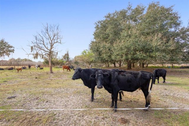 9102 CR 747, Webster, FL 33597