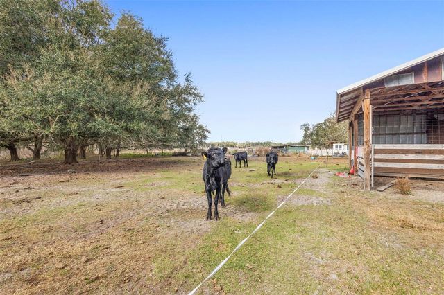 9102 CR 747, Webster, FL 33597