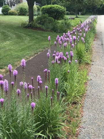 10 Proudfoot Way, Hanson, MA 02341