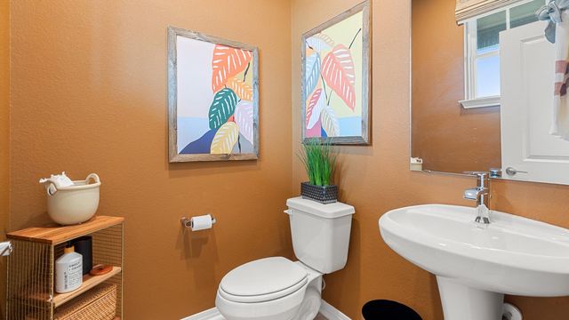 2529 Ophelia Levi LN, Round Rock, TX 78665