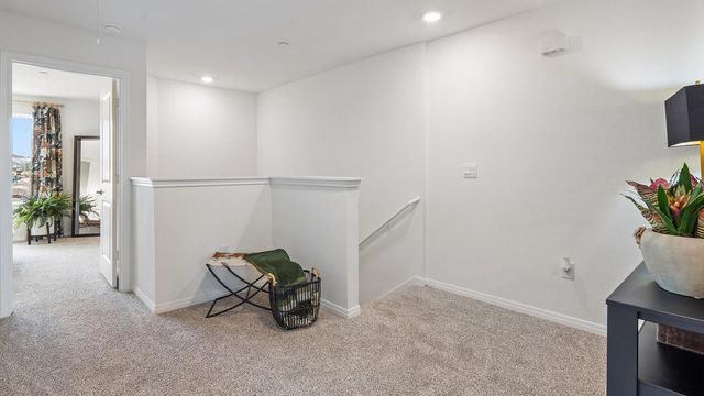 2529 Ophelia Levi LN, Round Rock, TX 78665