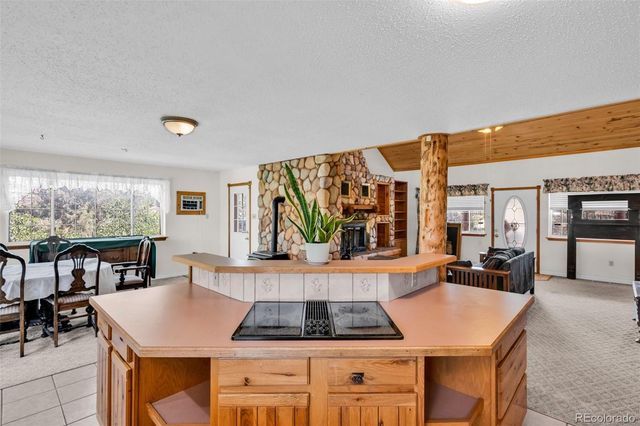 161 Shannon Road, Cotopaxi, CO 81223