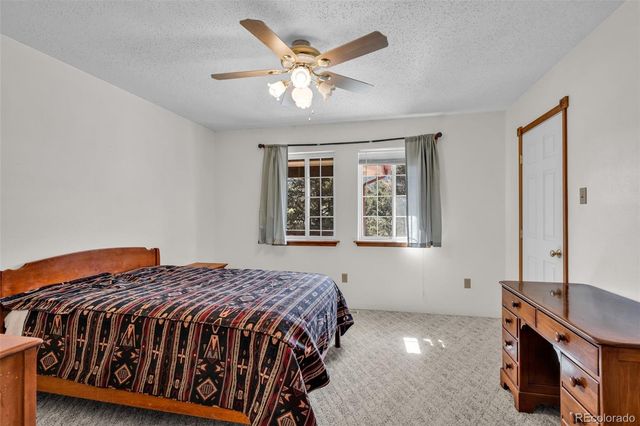 161 Shannon Road, Cotopaxi, CO 81223