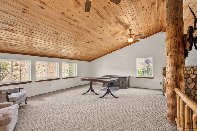 161 Shannon Road, Cotopaxi, CO 81223