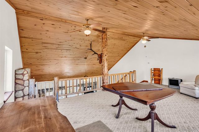 161 Shannon Road, Cotopaxi, CO 81223