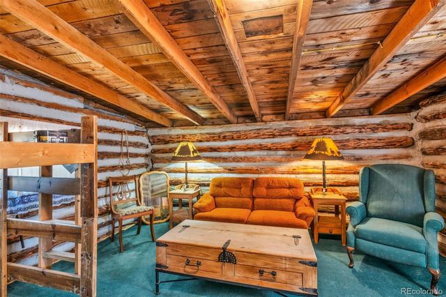 161 Shannon Road, Cotopaxi, CO 81223