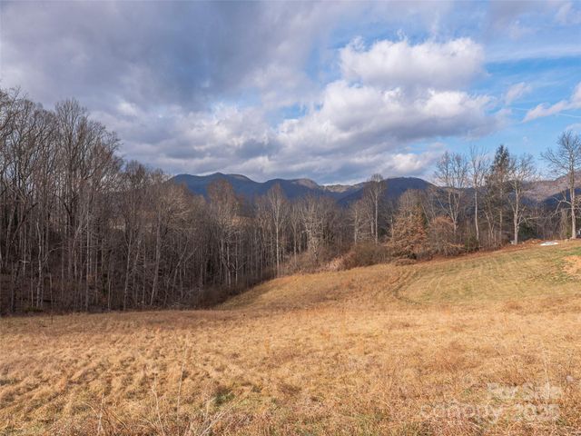 105 Riverview Drive, Canton, NC 28716