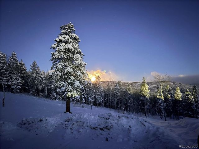 2700 Church Placer Rd, Central City, CO 80427