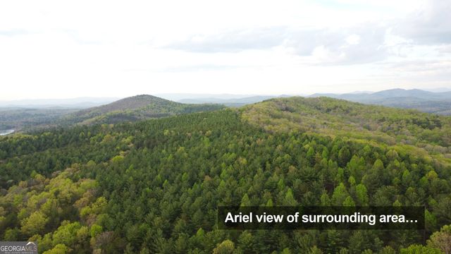 2A Oak Crest Drive, Morganton, GA 30560