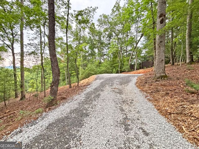 2A Oak Crest Drive, Morganton, GA 30560