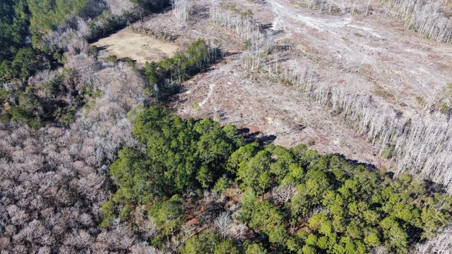 3143 South Island Rd., Georgetown, SC 29440