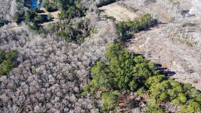 3143 South Island Rd., Georgetown, SC 29440