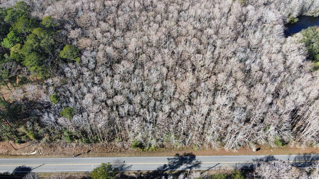 3143 South Island Rd., Georgetown, SC 29440