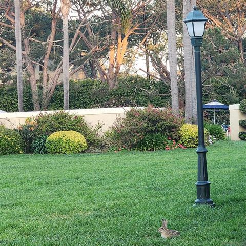 4050 Porte de Palmas 26, San Diego, CA 92122