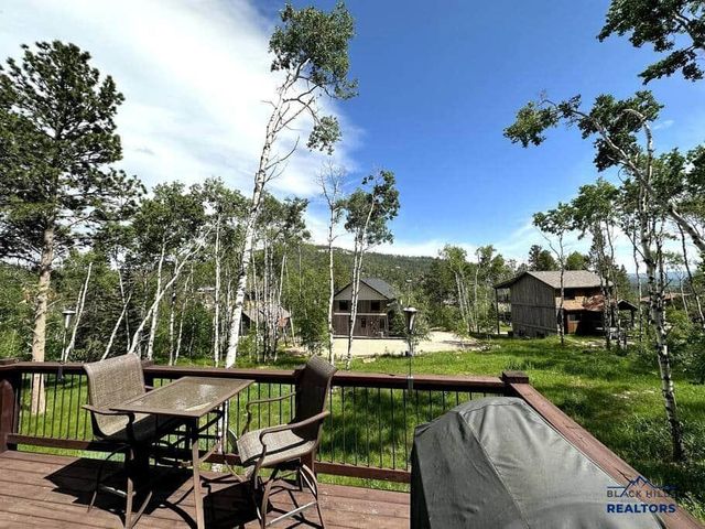 21172 LAST CHANCE TRAIL, Lead, SD 57754