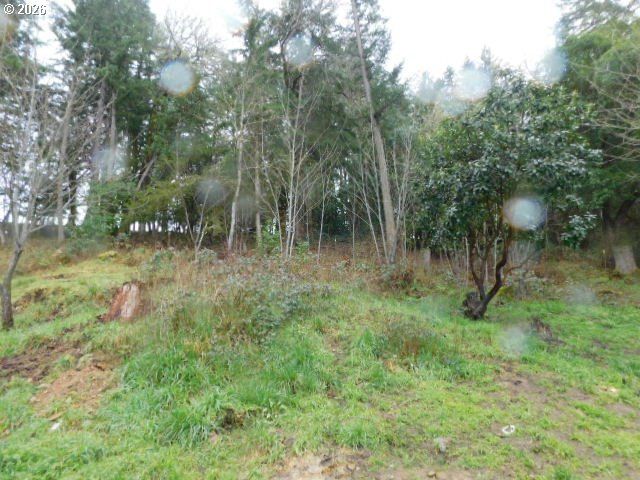 3464 GLENBROOK LOOP Rd, Riddle, OR 97469