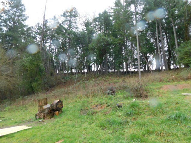 3464 GLENBROOK LOOP Rd, Riddle, OR 97469