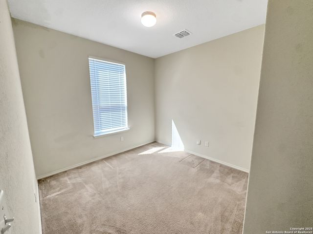 122 Texas Lantana, New Braunfels, TX 78130