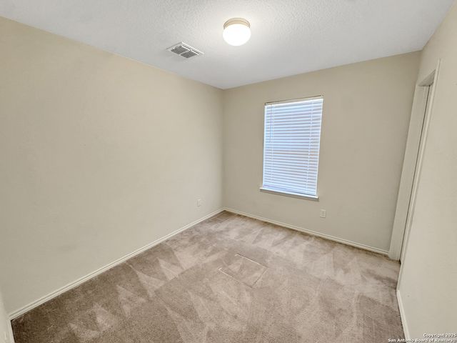 122 Texas Lantana, New Braunfels, TX 78130