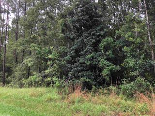0 Wilson Road, Elberta, AL 36530