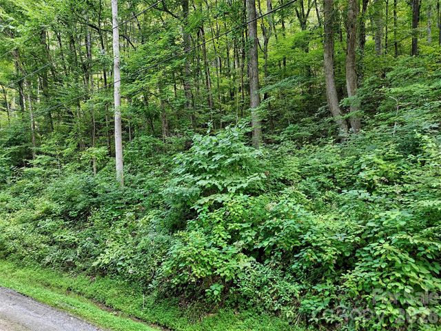 191 Merrie Way 62, Waynesville, NC 28786