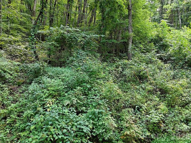 191 Merrie Way 62, Waynesville, NC 28786