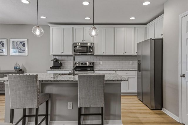 18908 ALFARO LOOP, Spring Hill, FL 34610