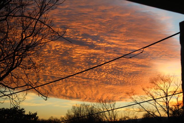 821 12th ST, Roanoke, VA 24017