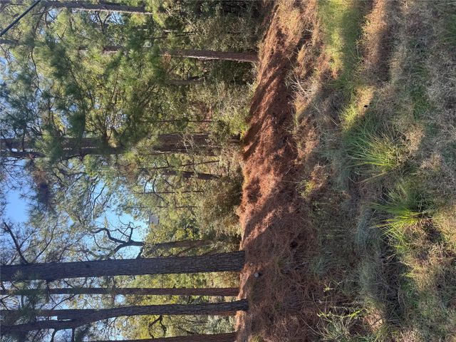 Lot 97 Kaelepulu DR, Bastrop, TX 78602