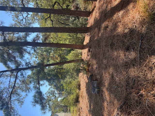 Lot 97 Kaelepulu DR, Bastrop, TX 78602