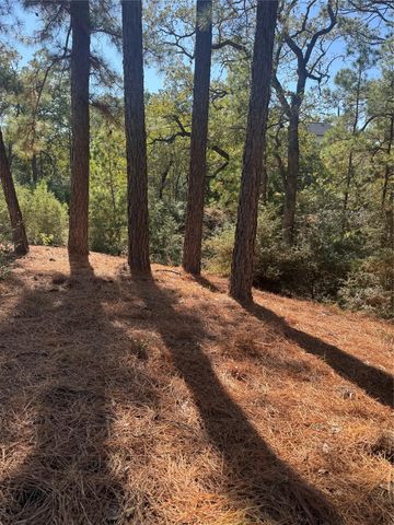 Lot 97 Kaelepulu DR, Bastrop, TX 78602