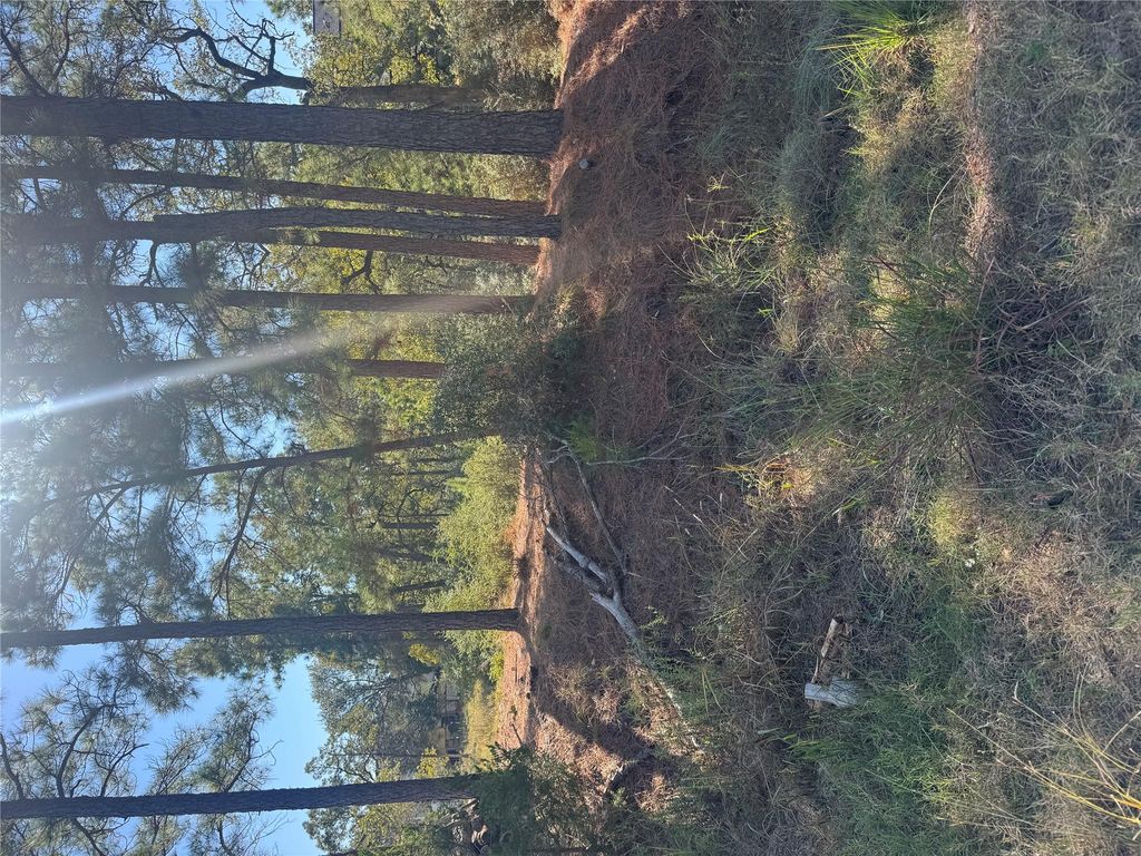 Lot 97 Kaelepulu DR, Bastrop, TX 78602