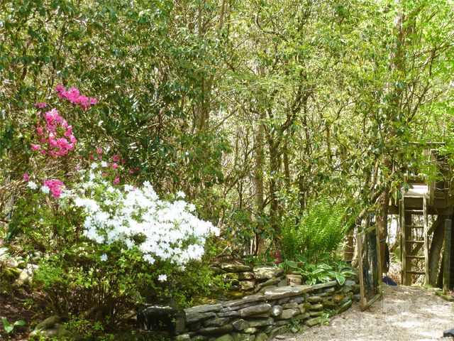 2698 Connestee Trail, Brevard, NC 28712