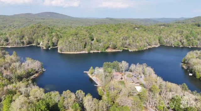2698 Connestee Trail, Brevard, NC 28712