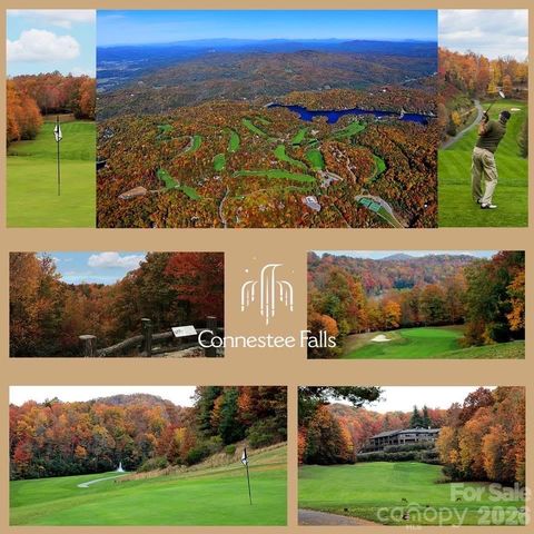 2698 Connestee Trail, Brevard, NC 28712