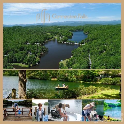 2698 Connestee Trail, Brevard, NC 28712