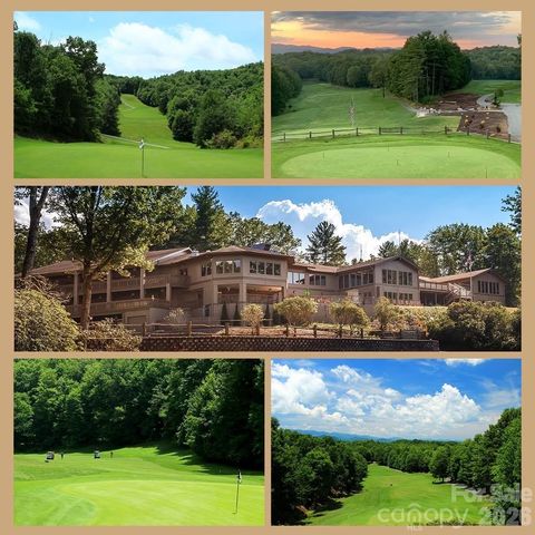 2698 Connestee Trail, Brevard, NC 28712