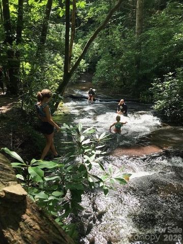 2698 Connestee Trail, Brevard, NC 28712