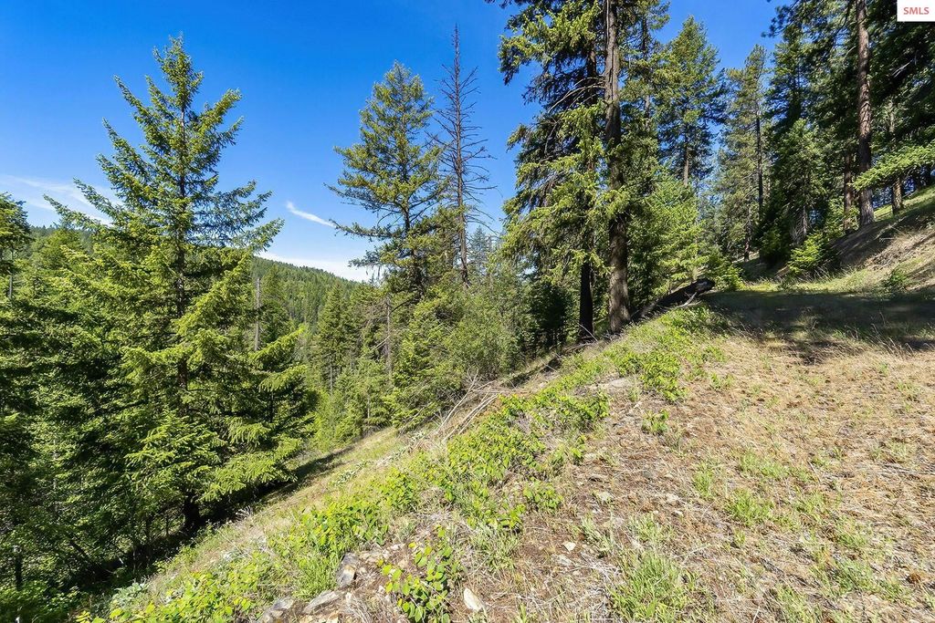 NNA E Moscow Bay Rd, Harrison, ID 83833 photo 28