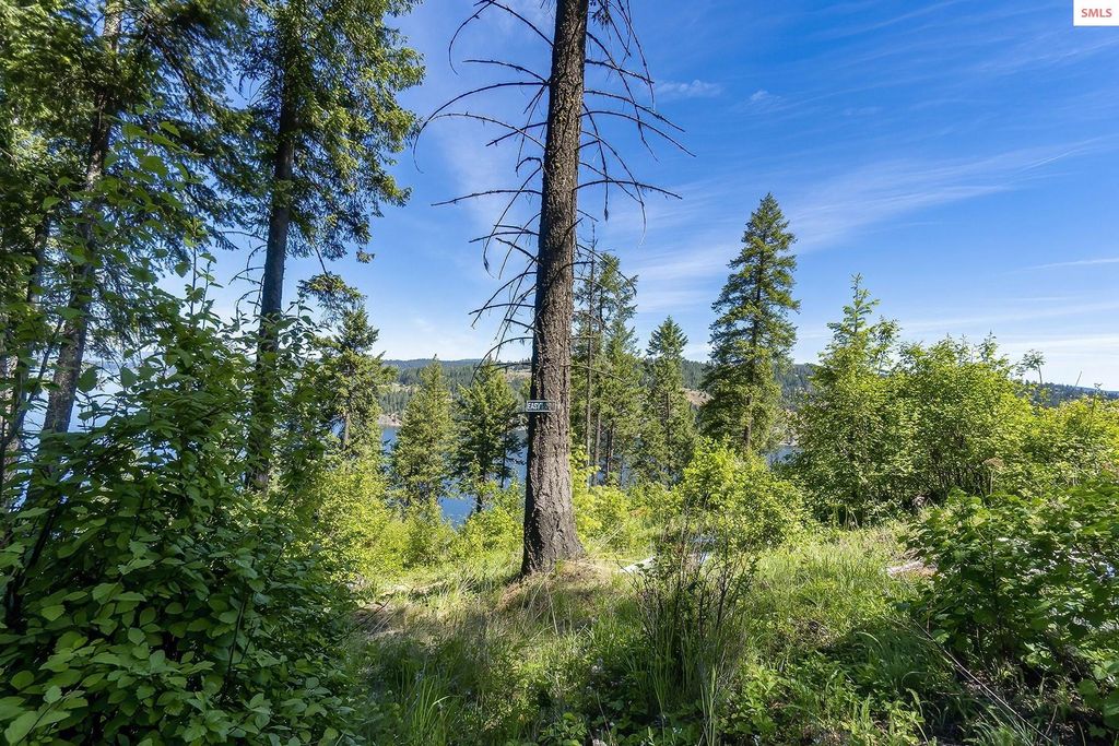 NNA E Moscow Bay Rd, Harrison, ID 83833 photo 30