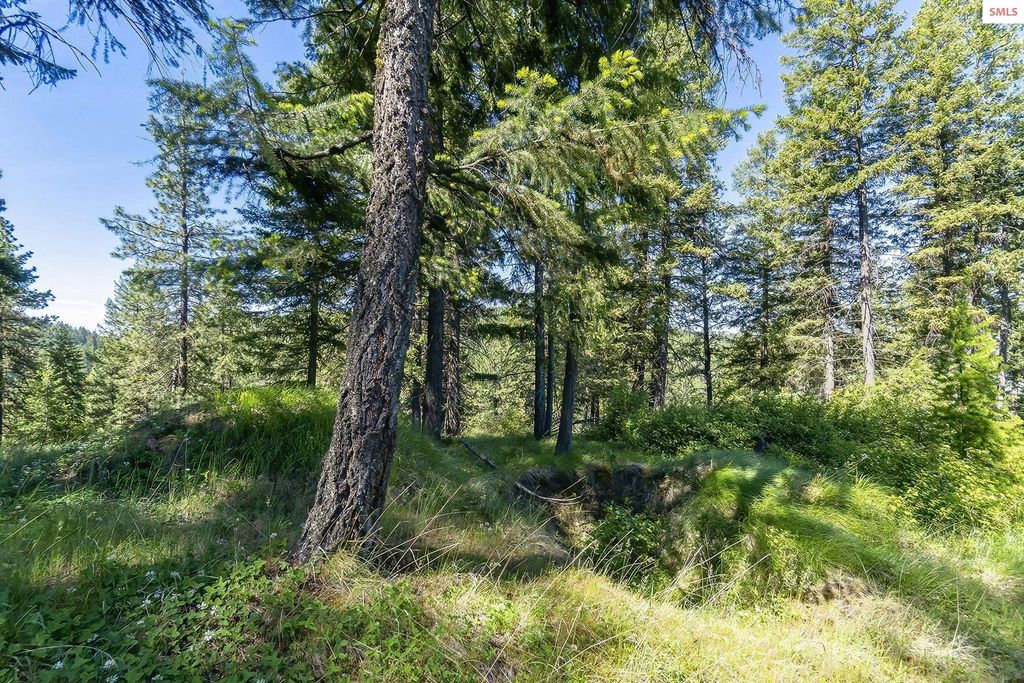 NNA E Moscow Bay Rd, Harrison, ID 83833 photo 33