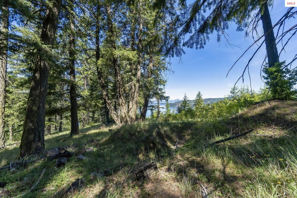 NNA E Moscow Bay Rd, Harrison, ID 83833 photo 34