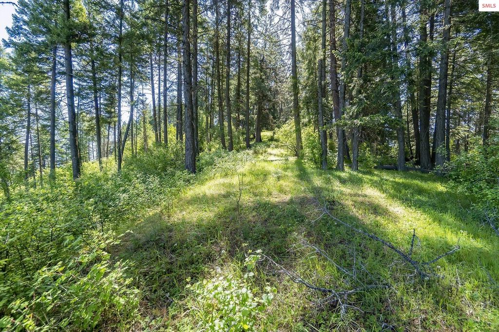 NNA E Moscow Bay Rd, Harrison, ID 83833 photo 36