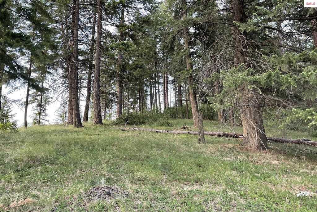 NNA E Moscow Bay Rd, Harrison, ID 83833 photo 40