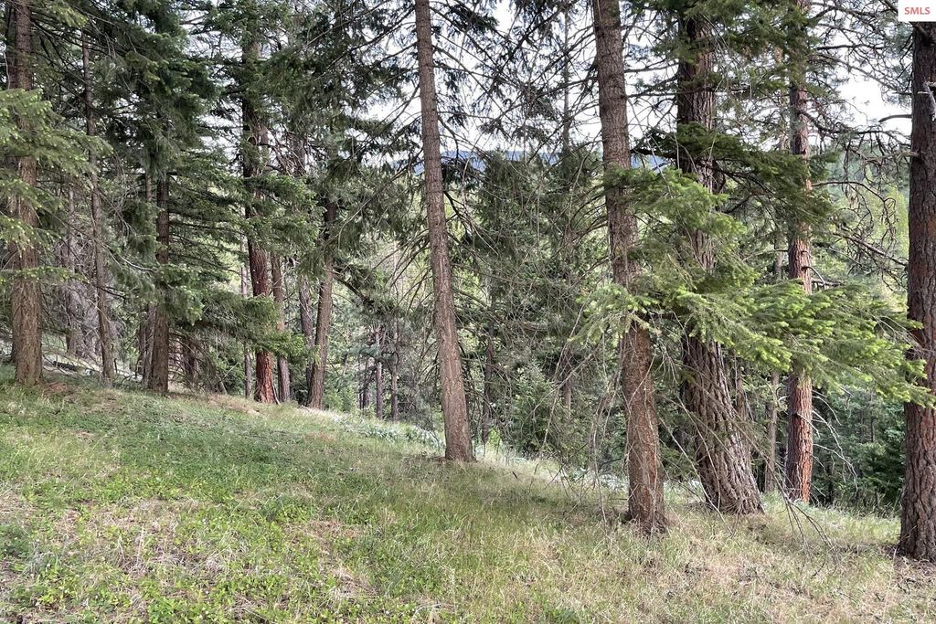 NNA E Moscow Bay Rd, Harrison, ID 83833 photo 42