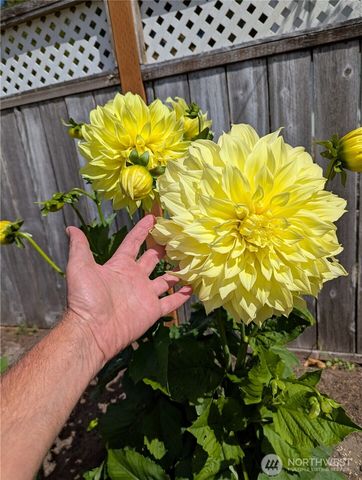 32216 T Place, Ocean Park, WA 98640