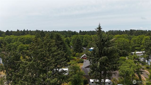 32216 T Place, Ocean Park, WA 98640
