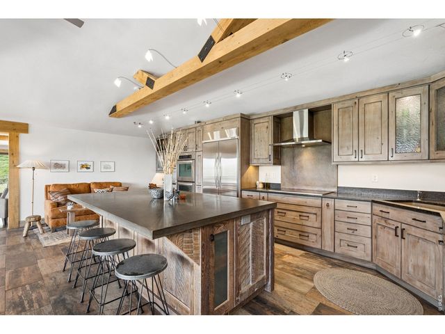 1091 Shadow Ridge Rd, Laporte, CO 80535