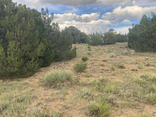 L29 B1 Black Diamond Dr, Walsenburg, CO 81089